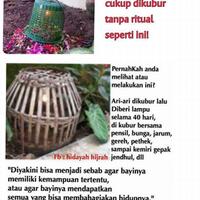 kenapa-ari-ari-dikasih-lampu