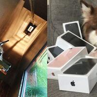 pamer-harta-di-jejaring-sosial-7-sosialita-ini-bikin-netizen-eneg