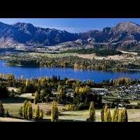 dicari-bold-man-yang-mau-diajakin-liburan-gratis-ke-new-zealand