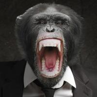 5--makhluk--yang-suatu-saat-bisa-gantikan-manusia-kuasai-bumi