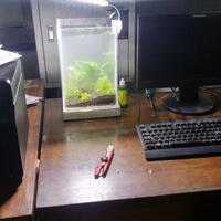 aquascape-for-everyone-learning-and-sharing---part-2