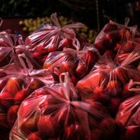 payung-hukum-tak-jua-beres-kantong-plastik-kembali-gratis