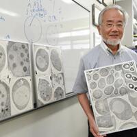 penelitian-autofagi-bawa-ilmuwan-jepang-raih-nobel-kedokteran