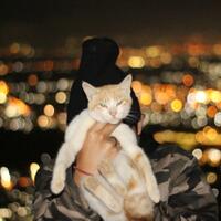 beberapa-alasan-biar-kamu-ga-datang-ke-kota-malang