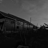 kavling-fujifilm-reborn