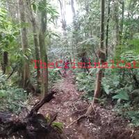 catper-tektok-puncak-salak-1-via-cimelati