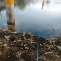 kfc-reg-solo---part-4