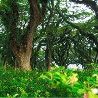 kavling-fujifilm-reborn