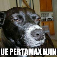 sekumpulan-orang-orang-ini-menciptakan-tokoh-kartun-sebagai-agama-baru