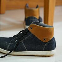 new-pendopo-sony-alpha---part-1