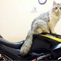 ijepret---share-your-moment-here