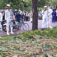 ahok-maafkan-massa-pendemo-yang-injak-injak-tanaman-di-depan-balai-kota