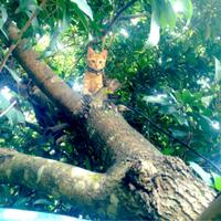 ijepret---share-your-moment-here