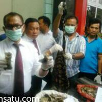 penjual-kulit-harimau-ditangkap-polda-sumut-di-hotel-madani-medan