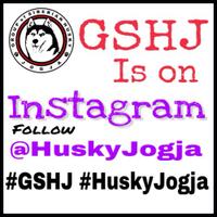 new-siberian-husky-lovers---read-page-1-for-update---part-2