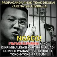 subhanallah-muslim-internasional-apresiasi-demo-ratusan-ribu-umat-islam-atas-ahok
