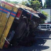 diserang-kawanan-begal-sopir-truk-berjibaku-selamatkan-rp-40-juta-milik-majikan