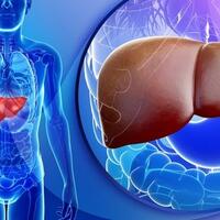 ini-dia-5-jenis-penyakit-kanker-yang-paling-mematikan