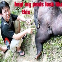 psk-maroko-yang-diamankan-di-jakarta-pusat-hanya--doyan--arab-dan-bule