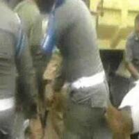 bikin-ngakakpetugas-satpol-pp-ini-jatuh-bangun-merazia-kambing-yang-berkeliaran-di-t