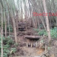 catper-menggapai-puncak-rajawali-dari-jalur-banaran---tembarak-quotsumbing-east-routequot