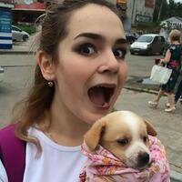 super-sadis-gadis-ini-bantai-anjing-dan-kucing-secara-brutal