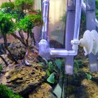 aquascape-for-everyone-learning-and-sharing---part-2