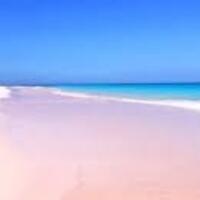 cantiknya-pantai-pink-di-berbagai-negara-indonesia-juga-punya