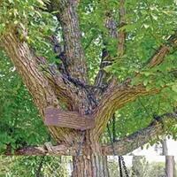 cerita-cerita-salah-kira-paling-kocak-sedunia