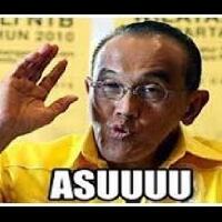 wanita-cantik-pendukung-agus-yudhoyono-jadi-viral-di-medsos