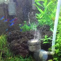 aquascape-for-everyone-learning-and-sharing---part-2