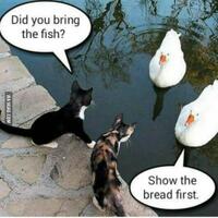 breaman-brotherhood-----part-6