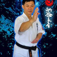 kyokushin-karate-26997304953135425163