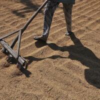 di-balik-keyakinan-jokowi-soal-penghentian-impor-beras