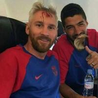 l4us-it039s-not-a-badge--it039s-family-crest---part-22