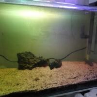 aquascape-for-everyone-learning-and-sharing---part-2