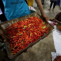 harga-cabai-makin-pedas-bps-sarankan-impor