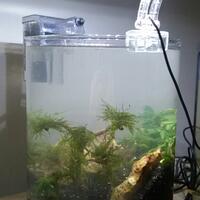 mini-aquarium-lovers-ayoo-masuk
