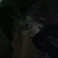 post-image