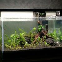 aquascape-for-everyone-learning-and-sharing---part-2