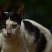 nongkrong-bareng-yang-masih-amatiran-dan-newbie---part-5