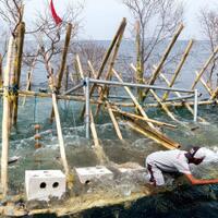 sulitnya-sektor-perikanan-mendapatkan-kredit-perbankan