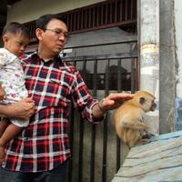 ahok-dianggap-cerminan-jenderal-jusuf