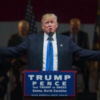 sejumlah-suara-dunia-melunak-setelah-trump-terpilih-presiden