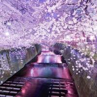 hebat-kebersihan-di-7-negara-ini-bikin-takjub-seluruh-dunia