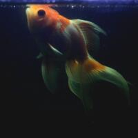 nongkrong-bareng-yang-masih-amatiran-dan-newbie---part-5