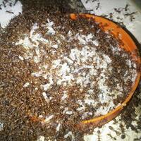 sarapan-quotanehquot-dari-berbagai-negara-di-dunia-berani-coba