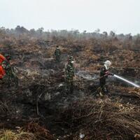 perusahaan-perusak-lingkungan-tak-akan-dapat-kredit-perbankan
