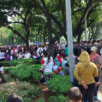 meriahnya-parade-bhinneka-tunggal-ika-kibarkan-merah-putih-hingga-pesta-kostum