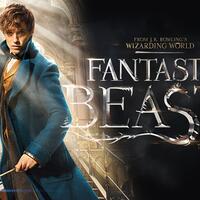 ini-dia-37-fakta-magic-tentang-film-fantastic-beasts